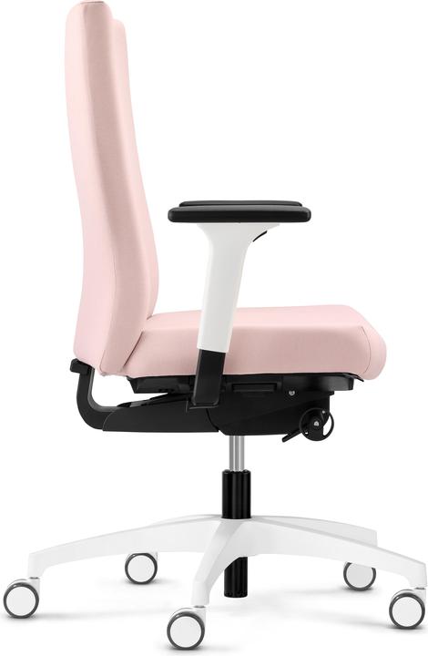 Actual product image Dauphin 4976 SLP2