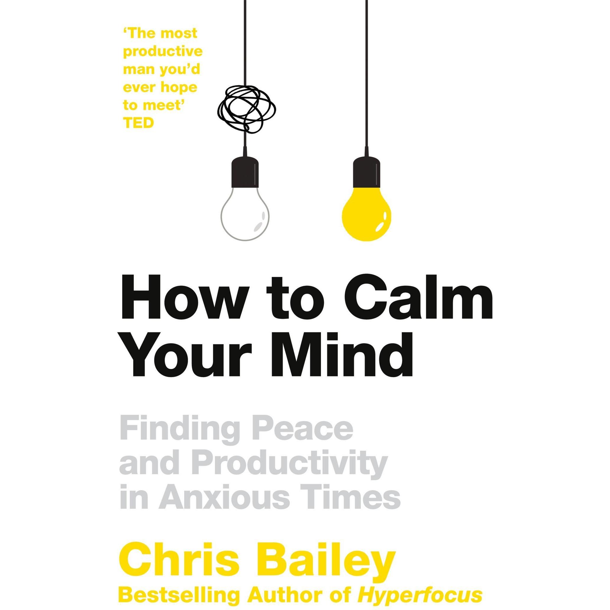 How to Calm Your Mind, Ratgeber von Chris Bailey