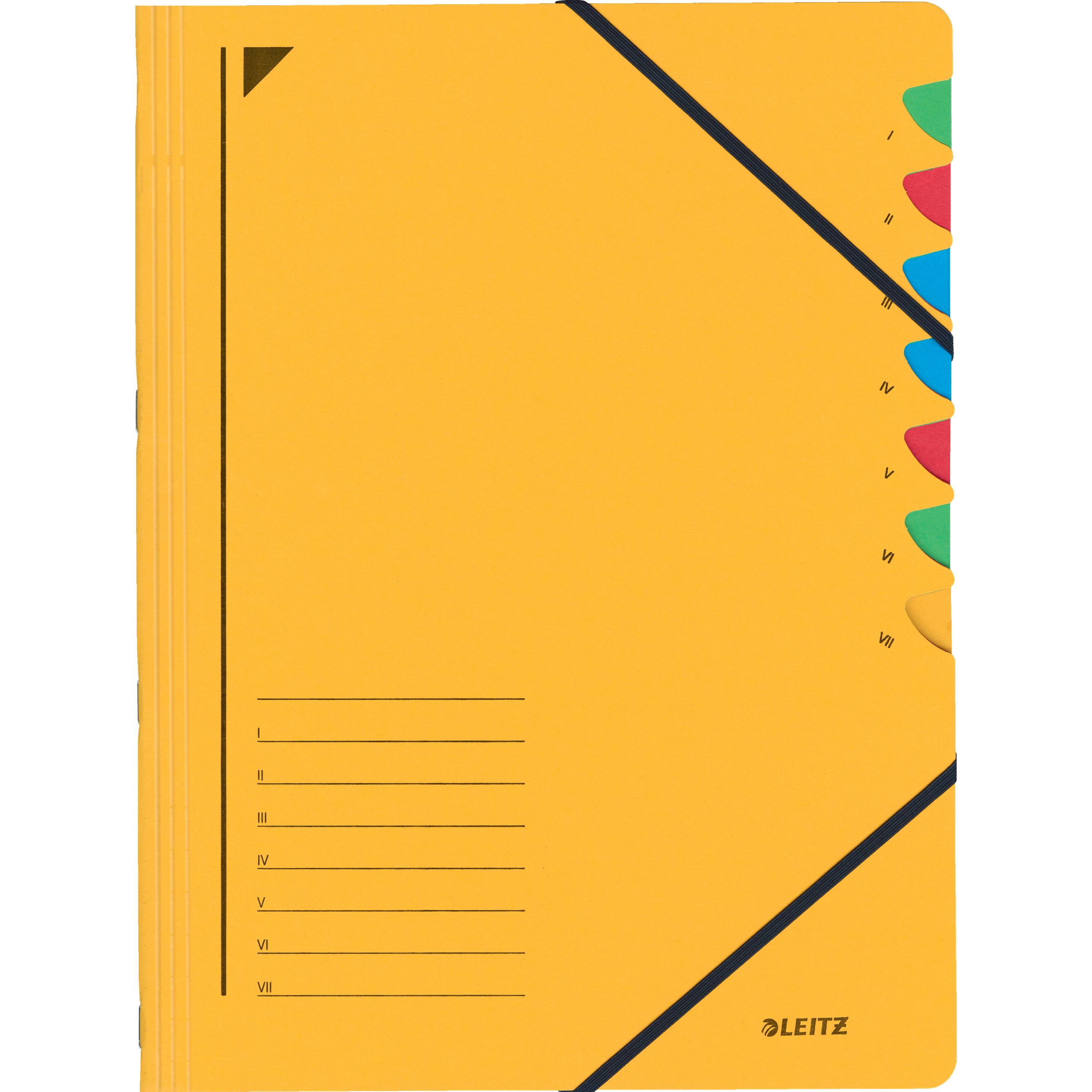 Leitz, Mappe, Ordnungsmappe (A4, 1 x)