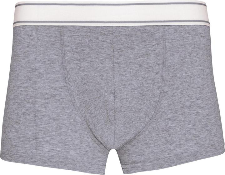 Grigio chiaro