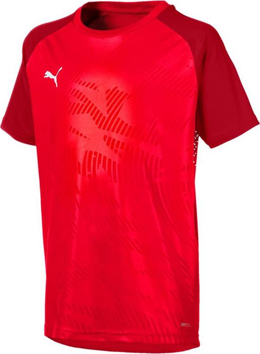 Actual product image Puma CUP Training Jersey Core Jr (140)