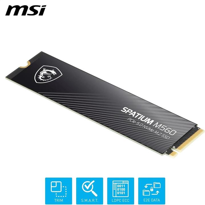 Actual product image MSI Spatium M560 (2000 GB, M.2 2280)