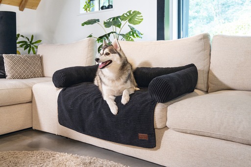 Productafbeelding Designed by Lotte Bankkussen Geribd (Hond)