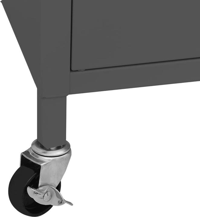 Actual product image vidaXL Aufbewahrungsschrank (60 x 35 x 56 cm)