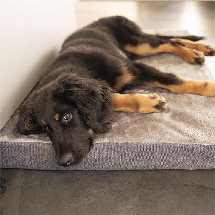 Actual product image Flamingo Carlota cushion grey S (Dog)