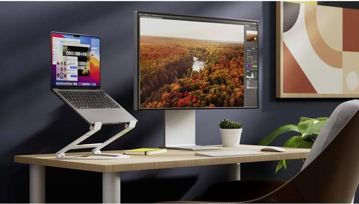 Image du produit TwelveSouth Curve Flex