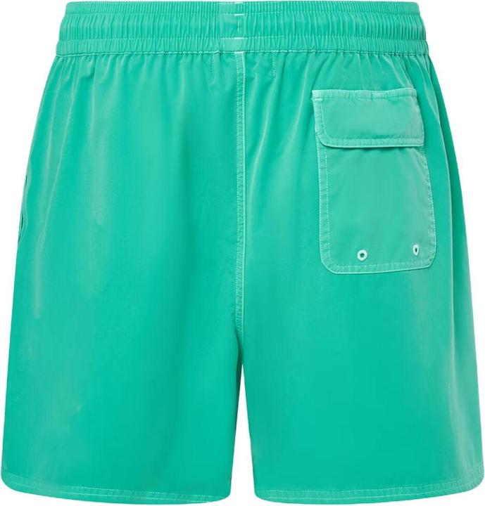 Actual product image Oakley Robinson RC 16" Beach Shorts (S)