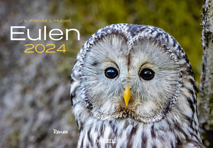 Produktbild Eulen (48 x 33.5 cm, Kein Einband, Deutsch)