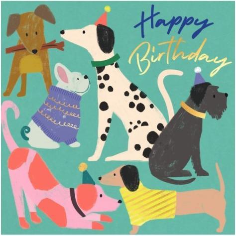 Immagine prodotto Laura Darrington Biglietto di auguri per cani - Buon compleanno (1 pz.)