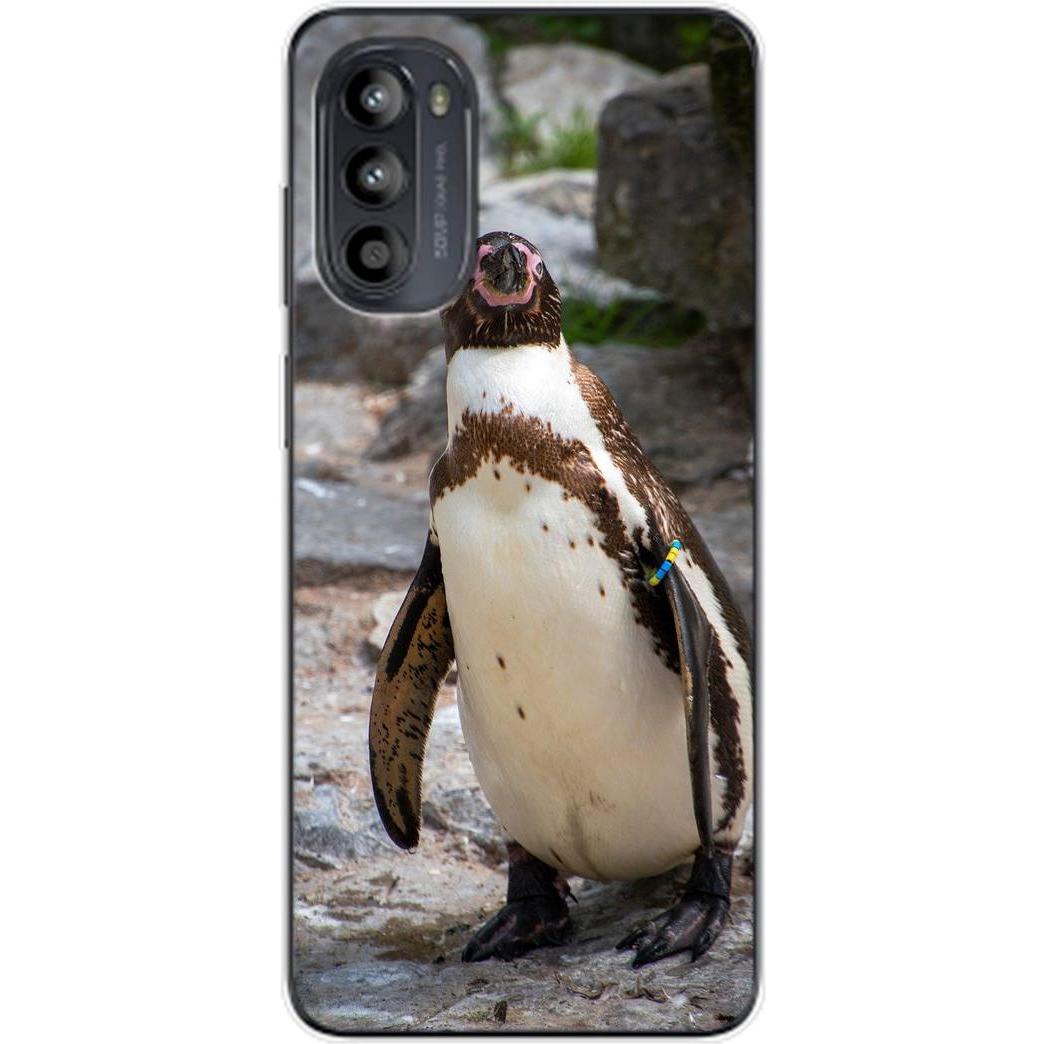 König Design Hülle Handy Schutz für Motorola Moto G62 5G Case Cover Tasche Bumper Etuis TPU (Motorola Moto G62), Smartph...