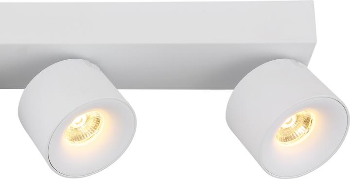 Actual product image Globo Rae