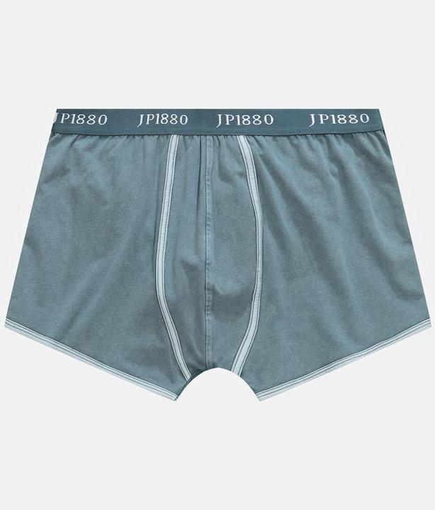 Actual product image JP1880 Hip pants FLEXNAMIC®, underpants (6XL)