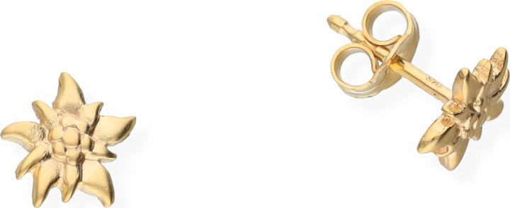Actual product image Carat Motifs