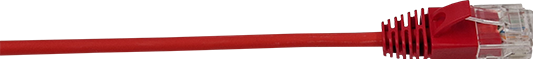 Rot