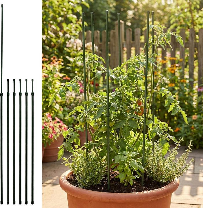 Actual product image Kinzo Expandierbare Pflanzenpfähle 6 Stk. (80 cm, 1 cm)