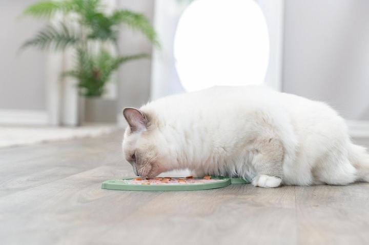 Produktbild Trixie Lick'n'Snack Platte