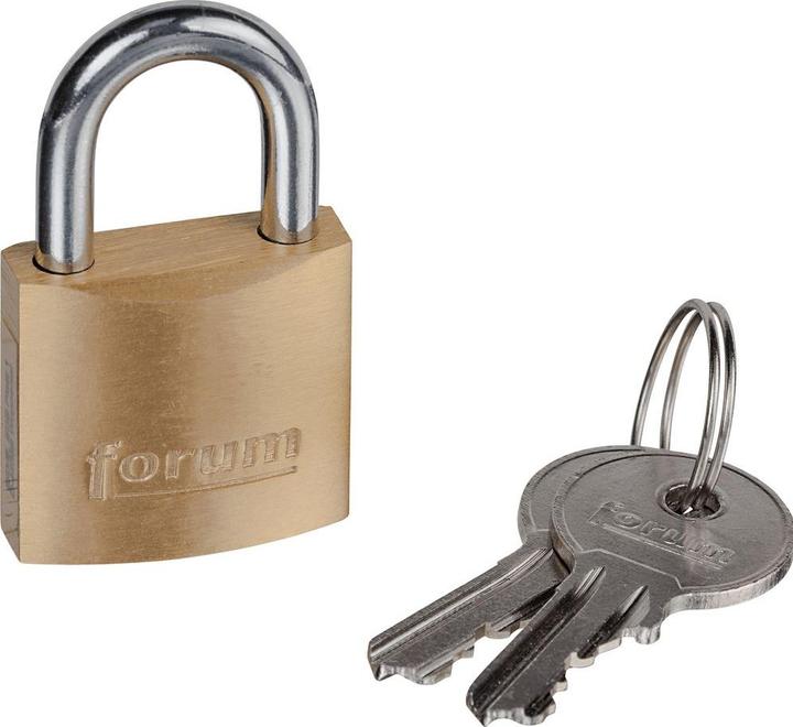 Image du produit Forum Professional Solutions Cadenas en laiton