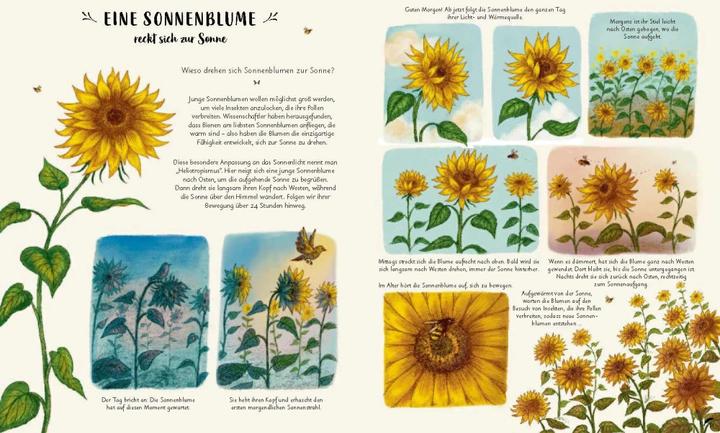 Produktbild Wunder der Natur zum Innehalten und Staunen (Deutsch, Freya Hartas, Rachel Williams, 2020)