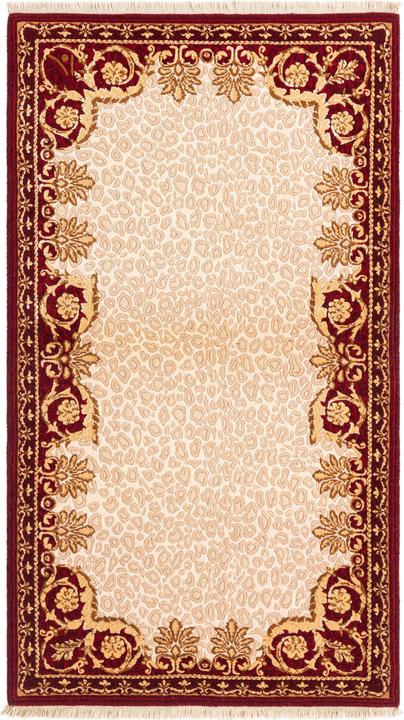 Image du produit Vidal Darya-Indian (91 x 163 cm)