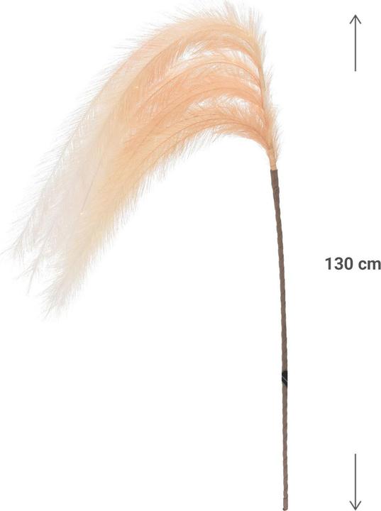 Actual product image Casativo Illuminated decoration 6 feathers, feather decoration with LEDs and timer function, beige, 130 cm