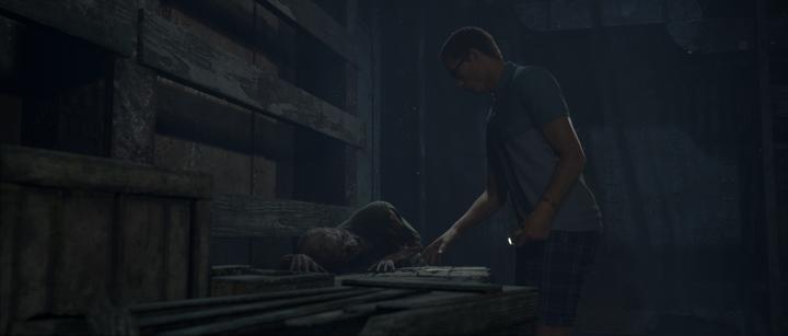 Image du produit Bandai Namco The Dark Pictures Anthology : Man of Medan, PS4 Standard Italien PlayStation 4 (PS4, IT)
