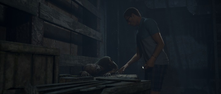 Actual product image Bandai Namco The Dark Pictures Anthology: Man of Medan, PS4 Standard Italian PlayStation 4 (PS4, IT)