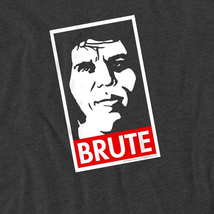 Produktbild The Princess Bride Brute TShirt meliert (M)