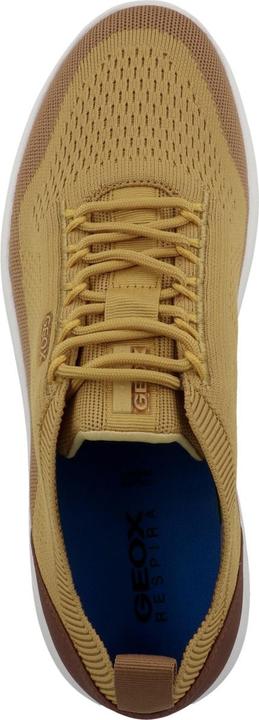 Immagine prodotto Geox 1208460 (44)