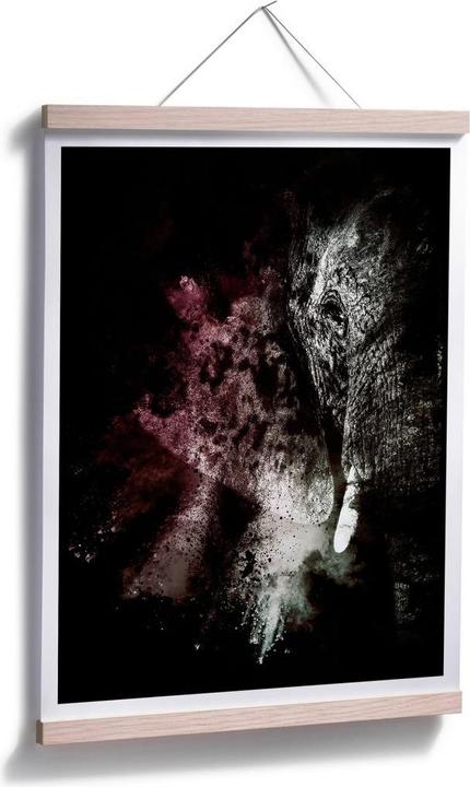Image du produit Trenddeko Explosion sauvage : Elephant 02 (24 x 30 cm)