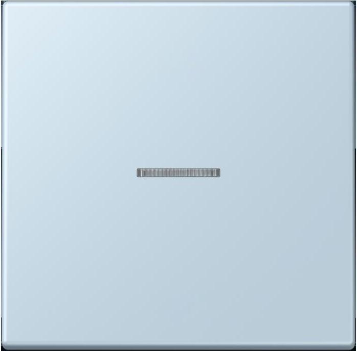 Actual product image JUNG Button