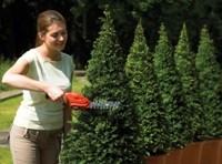 Produktbild Black & Decker Gsl300 (Akkubetrieb)