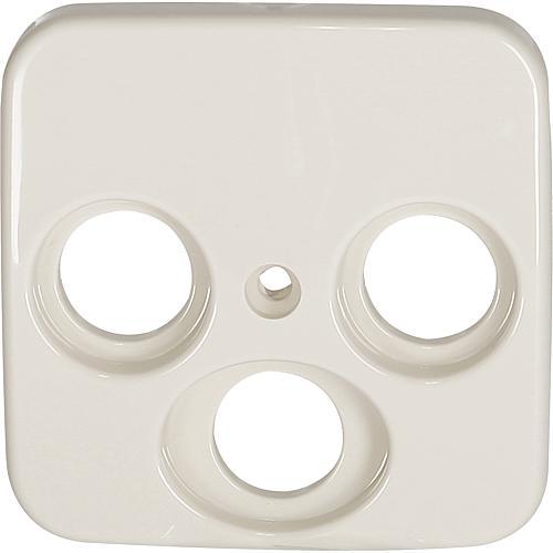 Produktbild Busch-Jaeger Zentralscheibe