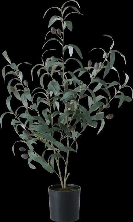 Boltze Home Decoratie boom (70 cm)