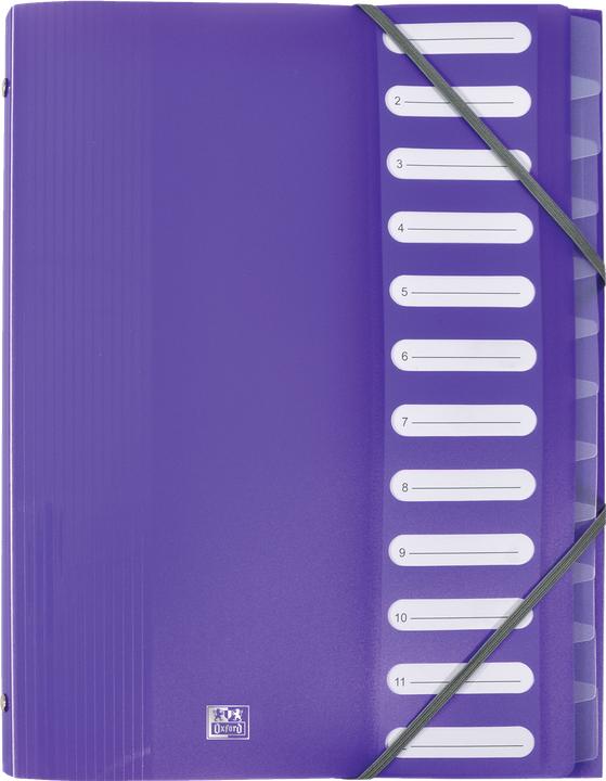 Image du produit Elba Classeur " School Life", 12 compartiments, DIN A4, PP intercalaires transparents, élastiques d'angle (A4, 1x)