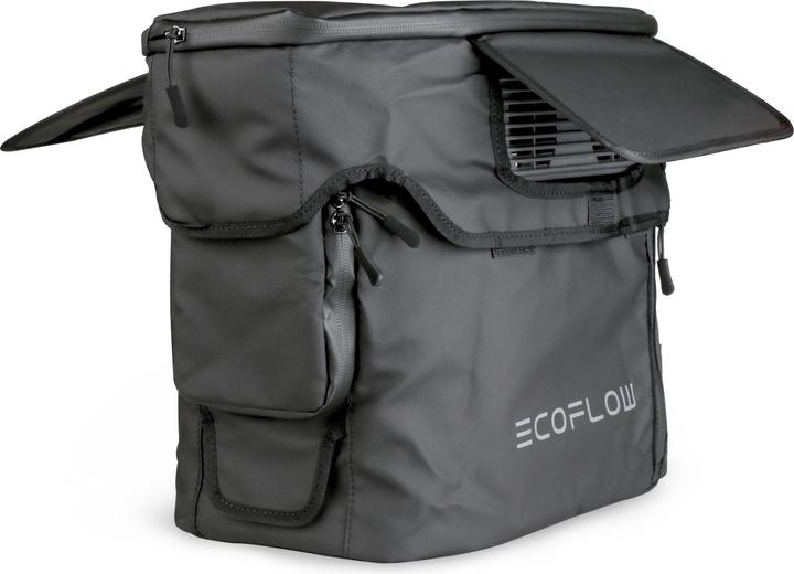 EcoFlow Borsa Delta 2