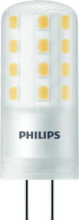 Actual product image Philips Professional CorePro (GY6.35, 4.20 W, 470 lm, 1 x, F)