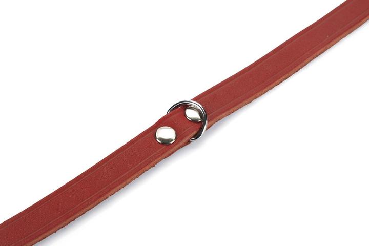Produktbild Beeztees BZ LEDERHALSBAND ROT 42X16 (42, Hund, Allgemein)