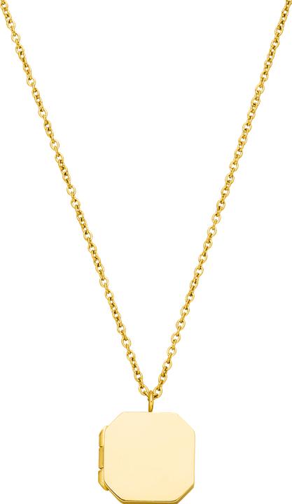 Image du produit Purelei Elegance Medaillon Kette (Acier inoxydable, Acier inoxydable 18K plaqué or rose, Acier inoxydable plaqué or 14 carats)