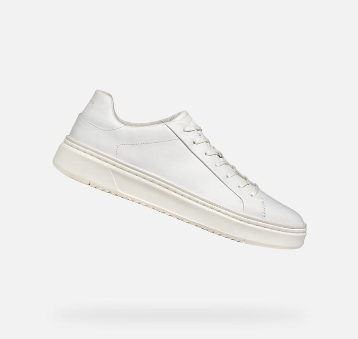 Produktbild Geox Zackerty Cupsole Vulcanized (41)