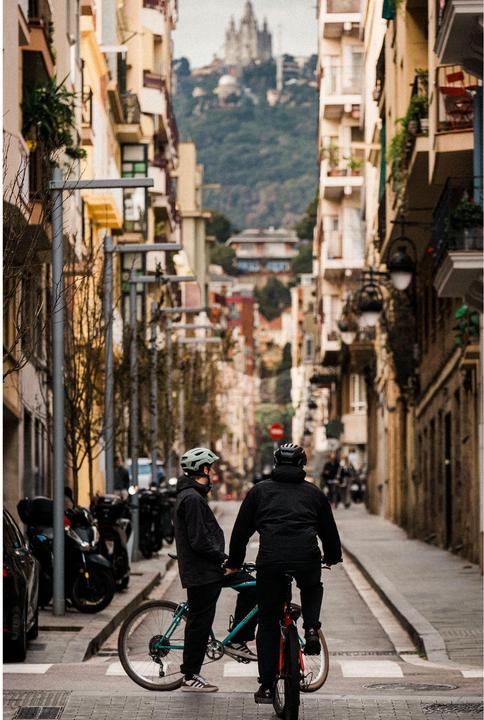 Produktbild Alpina Sports Paranus Mips (59 - 61 cm)