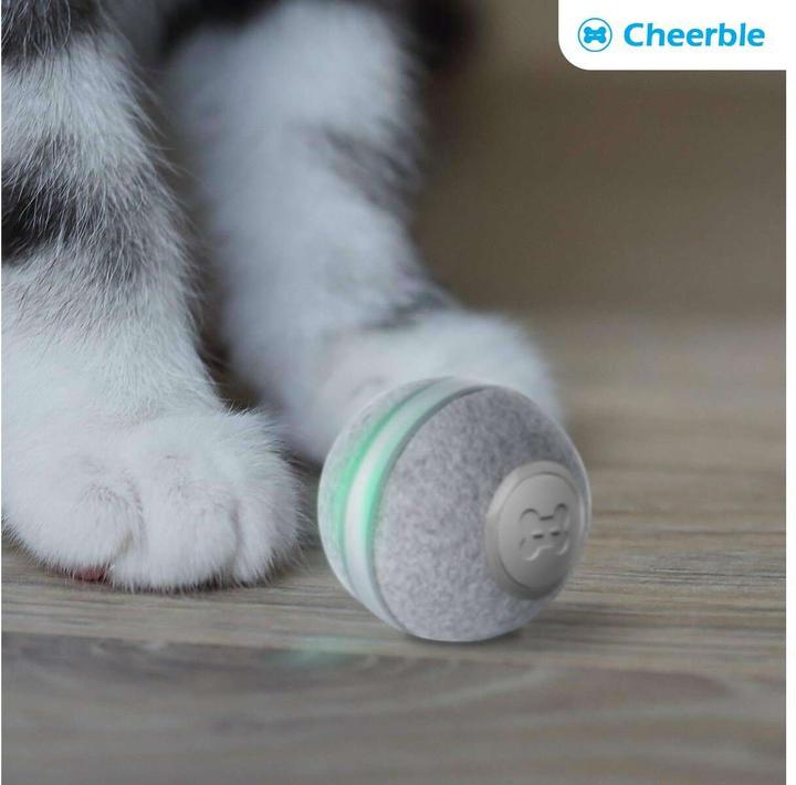 Produktbild Cheerble M1 Interactive (Ballspielzeug Katze)
