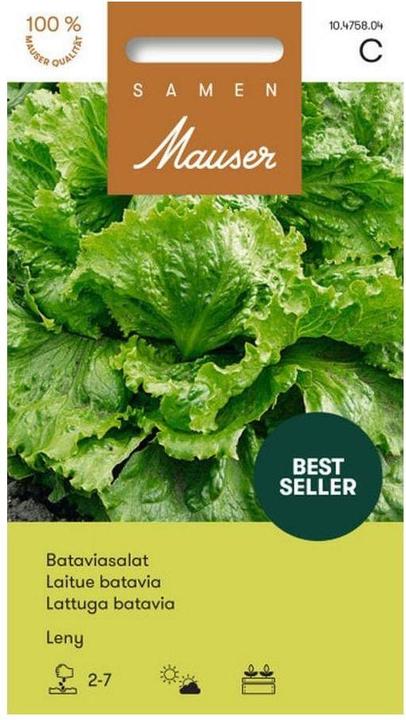 Actual product image Samen Mauser Bataviasalat Leny (Vegetable seeds)