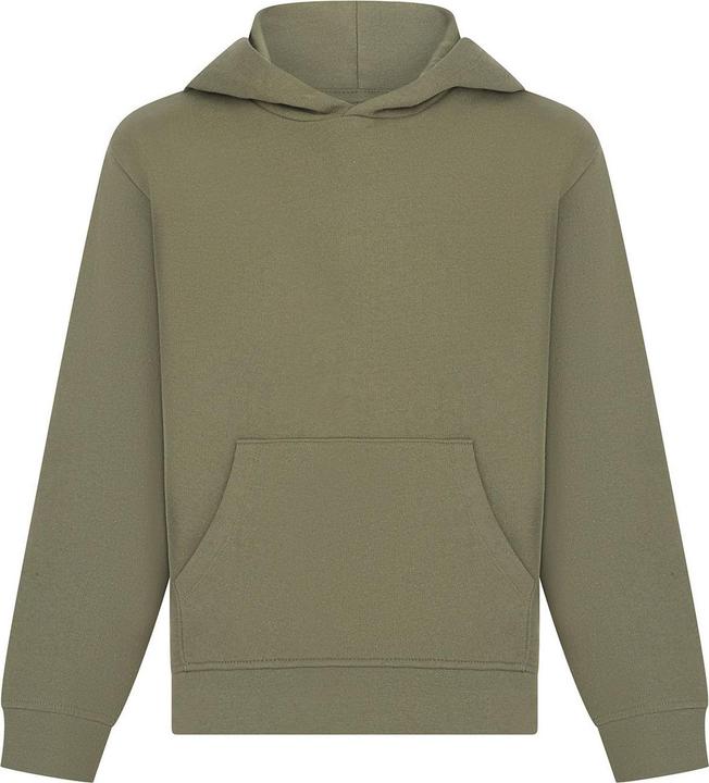 Produktbild SF ChildrensKids Sustainable Hoodie (146, 152)