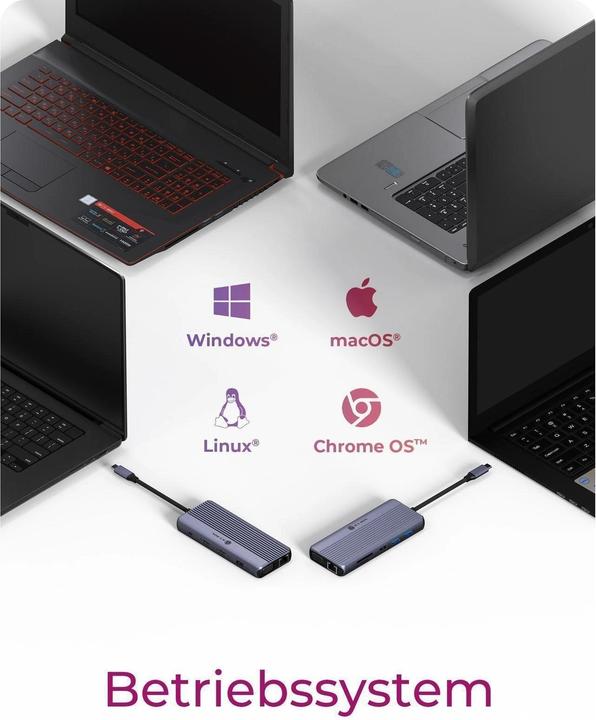 Image du produit Icy Box 12 en 1 (USB-C, 12 ports)