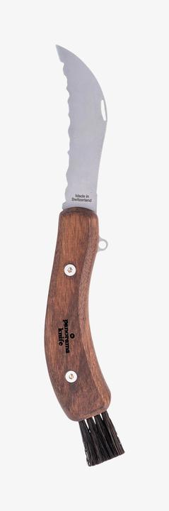 Produktbild Panorama Knife Pilzmesser (10 cm)