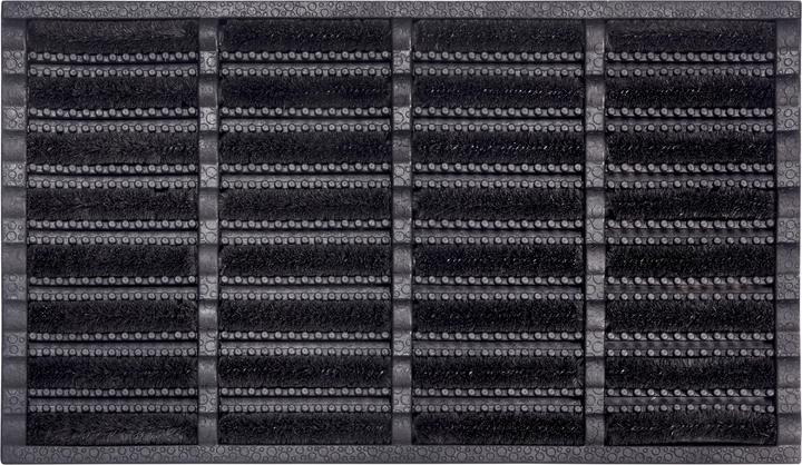 Immagine prodotto Hanse Home Brushes Mat (45 x 75 cm)