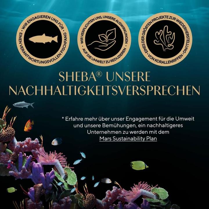 Actual product image Sheba Fresh & Fine in Sauce (Senior, Adult, 15 pcs., 750 g)