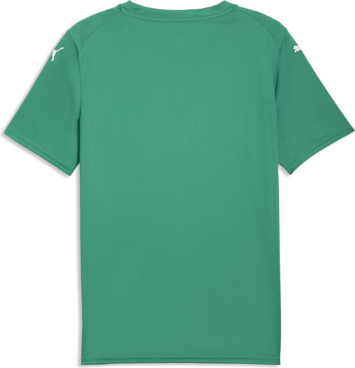 Produktbild Puma teamFINAL Graphic Jersey (S)