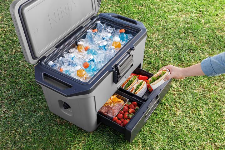 Actual product image Ninja FrostVault FB151EUGY (47 l)