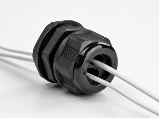 Image du produit Delock Presse-étoupe PG21 pour câble plat avec deux entrées de câble noir 2 pièces